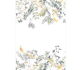 CASADECO_200097603_web