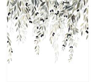 CASADECO_200147809.1_web