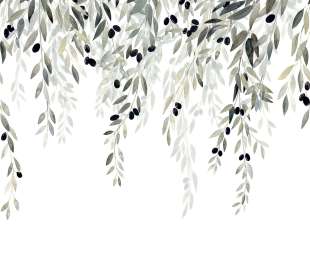 CASADECO_200147809_1_web