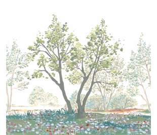 CASADECO_200077008_web