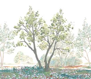 CASADECO_200077008_1_web