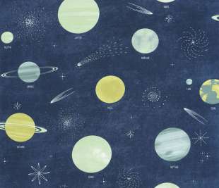 CASELIO_105686066_2_web