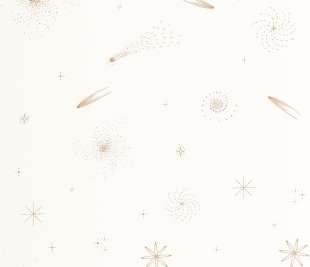 CASELIO_105691000_2_web