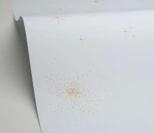 CASELIO_105691000_1_web