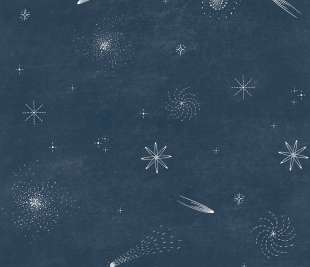 CASELIO_105696069_web