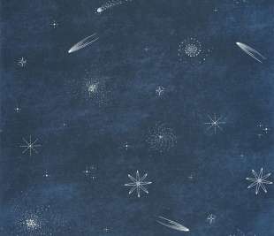 CASELIO_105696069_2_web