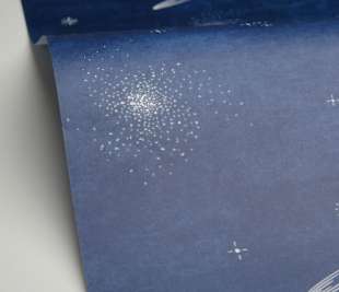 CASELIO_105696069_1_web