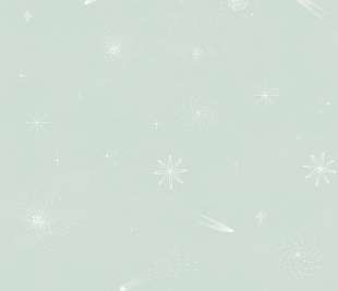 CASELIO_105697001_web