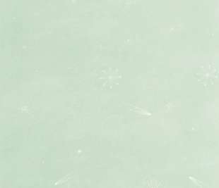 CASELIO_105697001_2_web