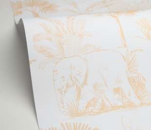 CASELIO_105731010_1_web