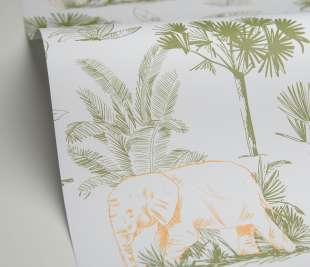 CASELIO_105737007_1_web