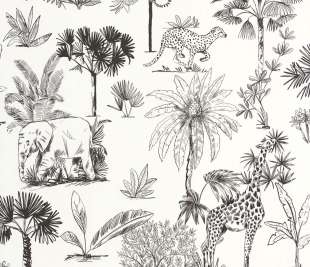 CASELIO_105739090_2_web