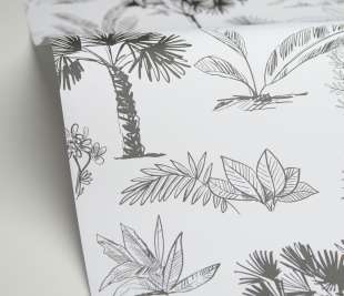 CASELIO_105739090_1_web