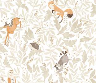 CASELIO_105741010_web