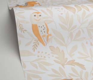 CASELIO_105741010_1_web