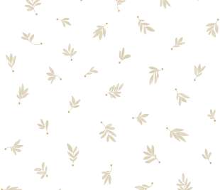 CASELIO_105751010_web