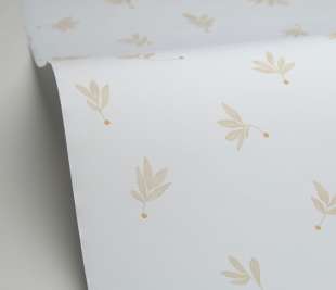 CASELIO_105751010_1_web