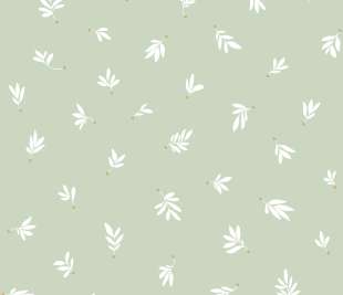 CASELIO_105757017_web