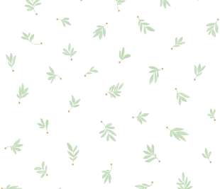 CASELIO_105757126_web