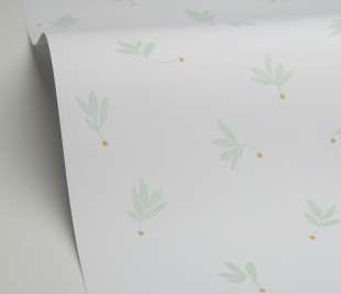 CASELIO_105757126_1_web