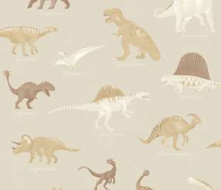 CASELIO_105701010_web