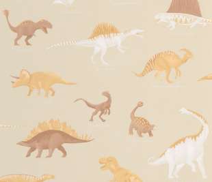 CASELIO_105701010_2_web