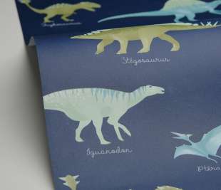 CASELIO_105706060_1_web