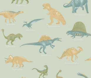 CASELIO_105707001_web