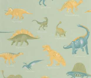 CASELIO_105707001_2_web