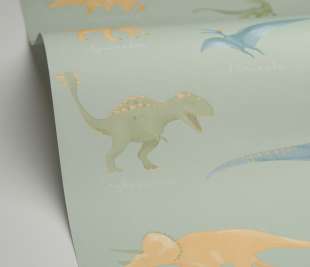 CASELIO_105707001_1_web