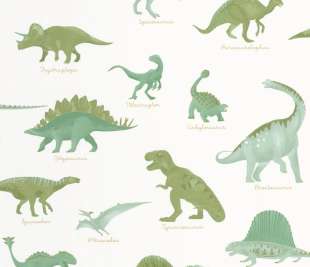 CASELIO_105707100_2_web