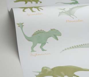 CASELIO_105707100_1_web