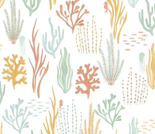 CASELIO_105814325_web