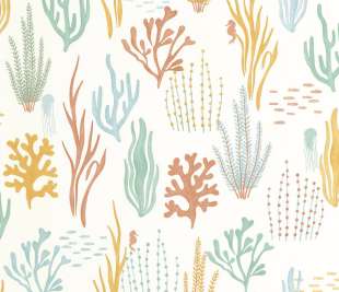 CASELIO_105814325_2_web