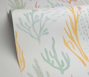 CASELIO_105814325_1_web