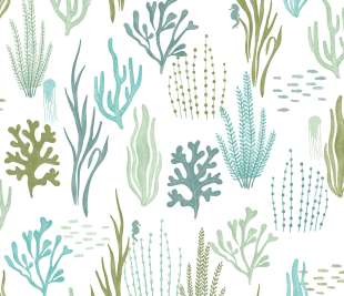 CASELIO_105817160_web