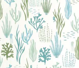 CASELIO_105817160_2_web