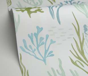 CASELIO_105817160_1_web