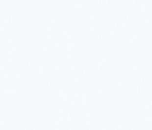 CASELIO_100601010_1_web