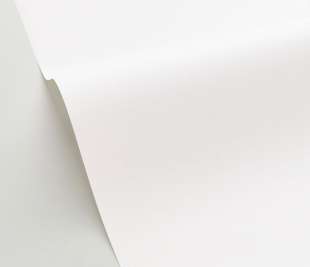 CASELIO_100601010_1_web