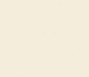 CASELIO_100601212_2_web