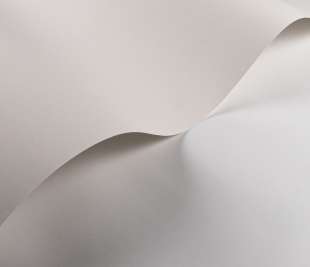 CASADECO_200330000.1