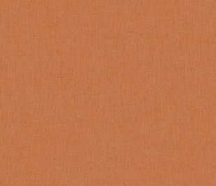 CASELIO_100604313_web