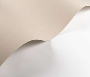 CASADECO_200331212.1