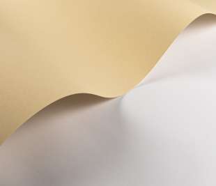 CASADECO_200332002.1