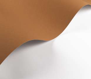 CASADECO_200332626.1