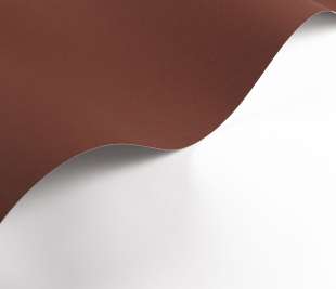 CASADECO_200332808.1