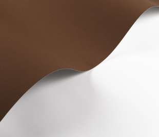 CASADECO_200332909.1