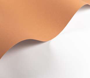 CASADECO_200333320.1