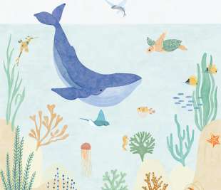 CASELIO_105666006_web